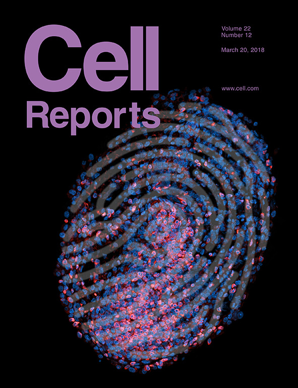Cover of Cell Reports, featuring study using the protocol.
