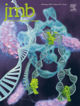 Cover of Journal of Molecular Biology, featuring study using the protocol.