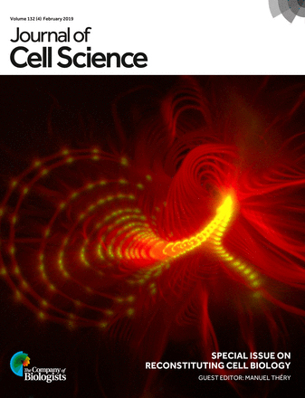 Cover of Journal of Cell Science, featuring study using the protocol.