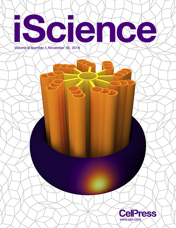 Cover of iScience, featuring study using the protocol.