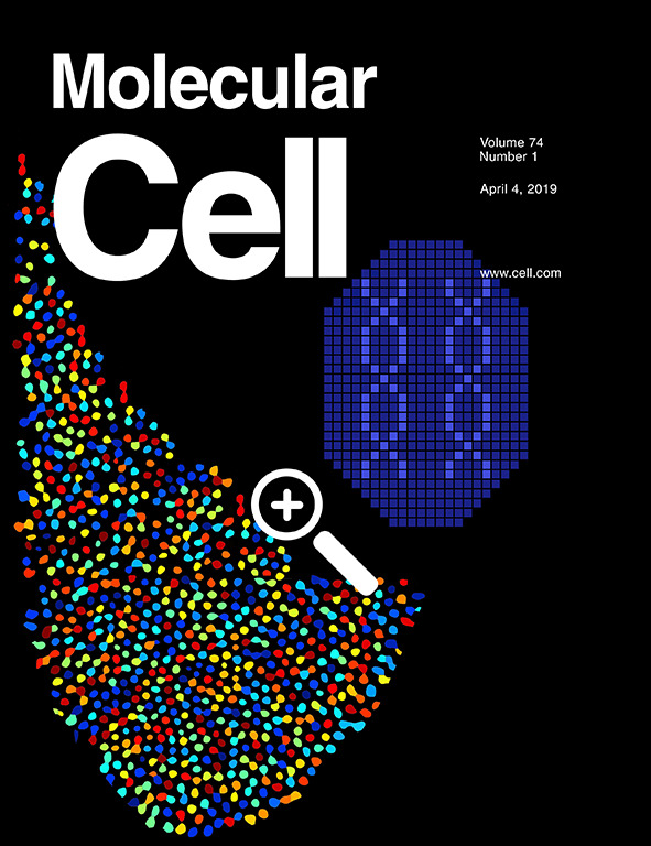 Cover of Molecular Cell, featuring study using the protocol.