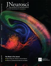 Cover of The Journal of Neuroscience, featuring study using the protocol.