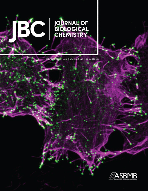 Cover of The Journal of Biological Chemistry, featuring study using the protocol.