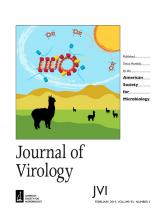 Cover of Journal of Virology, featuring study using the protocol.