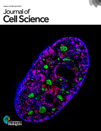 Cover of Journal of Cell Science, featuring study using the protocol.
