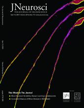 Cover of The Journal of Neuroscience, featuring study using the protocol.