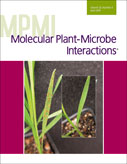 Cover of Molecular Plant Microbe Interactions, featuring study using the protocol.