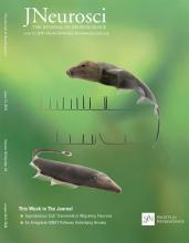 Cover of The Journal of Neuroscience, featuring study using the protocol.