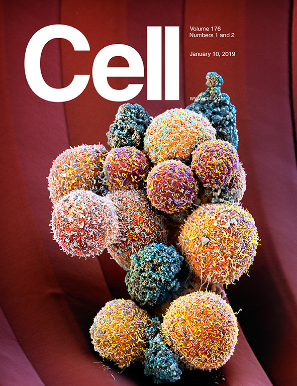 Cover of Cell, featuring study using the protocol.