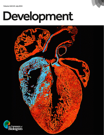 Cover of Development, featuring study using the protocol.