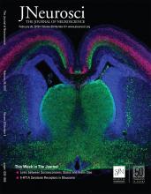 Cover of The Journal of Neuroscience, featuring study using the protocol.