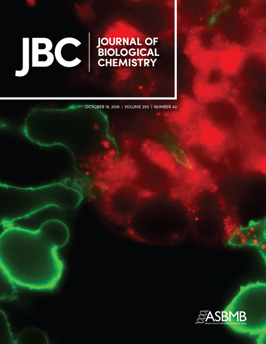 Cover of The Journal of Biological Chemistry, featuring study using the protocol.
