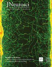 Cover of The Journal of Neuroscience, featuring study using the protocol.