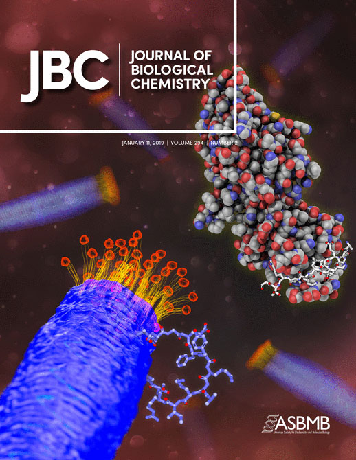 Cover of The Journal of Biological Chemistry, featuring study using the protocol.