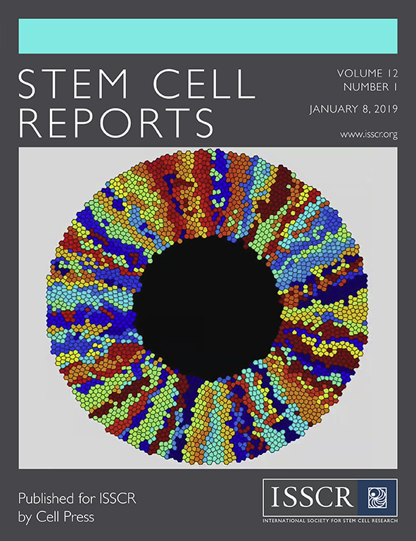 Cover of Stem Cell Reports, featuring study using the protocol.