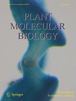 Cover of Plant Molecular Biology, featuring study using the protocol.