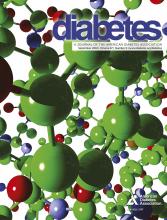 Cover of Diabetes, featuring study using the protocol.