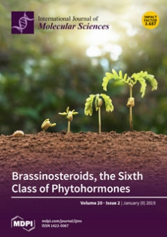 Cover of International Journal of Molecular Sciences, featuring study using the protocol.