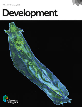 Cover of Development, featuring study using the protocol.