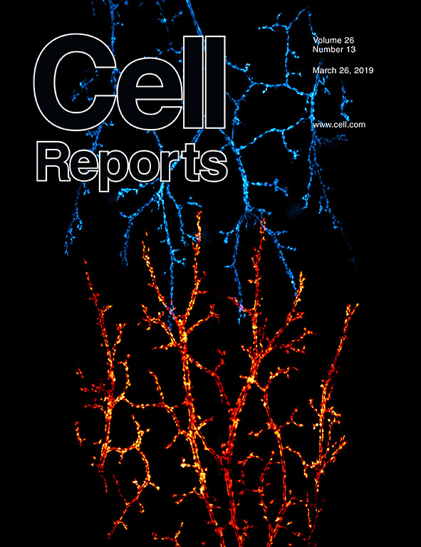 Cover of Cell Reports, featuring study using the protocol.