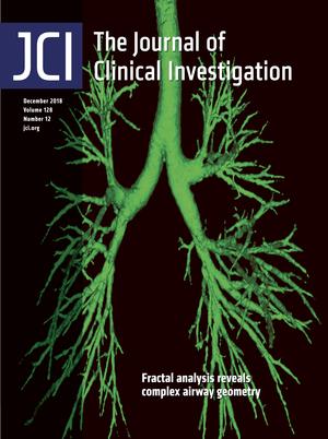 Cover of The Journal of Clinical Investigation, featuring study using the protocol.