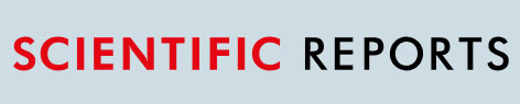 Cover of Scientific Reports, featuring study using the protocol.