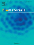 Cover of Biomaterials, featuring study using the protocol.