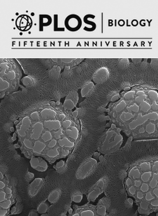 Cover of PLOS Biology, featuring study using the protocol.