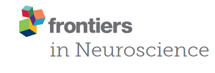 Cover of Frontiers in Neuroscience, featuring study using the protocol.