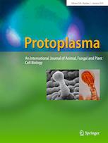 Cover of Protoplasma, featuring study using the protocol.