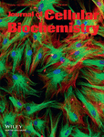 Cover of Journal of Cellular Biochemistry, featuring study using the protocol.