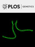 Cover of PLOS Genetics, featuring study using the protocol.