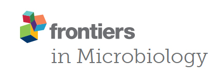 Cover of Frontiers in Microbiology, featuring study using the protocol.