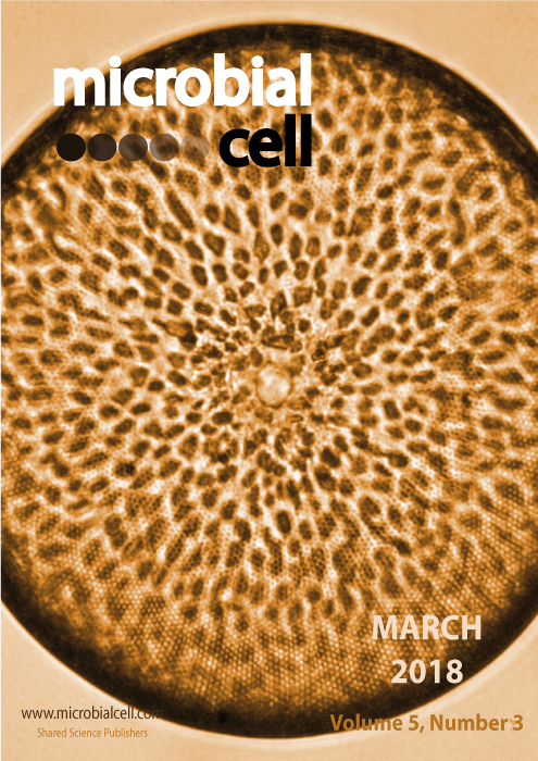 Cover of Microbial Cell, featuring study using the protocol.