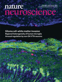 Cover of Nature Neuroscience, featuring study using the protocol.