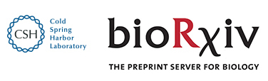 Cover of bioRxiv, featuring study using the protocol.