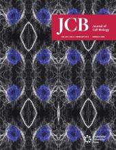 Cover of The Journal of Cell Biology, featuring study using the protocol.
