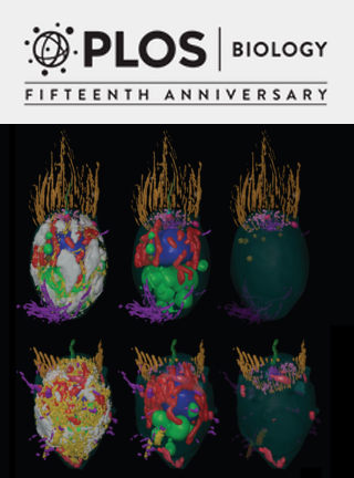 Cover of PLOS Biology, featuring study using the protocol.