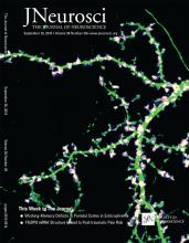 Cover of The Journal of Neuroscience, featuring study using the protocol.