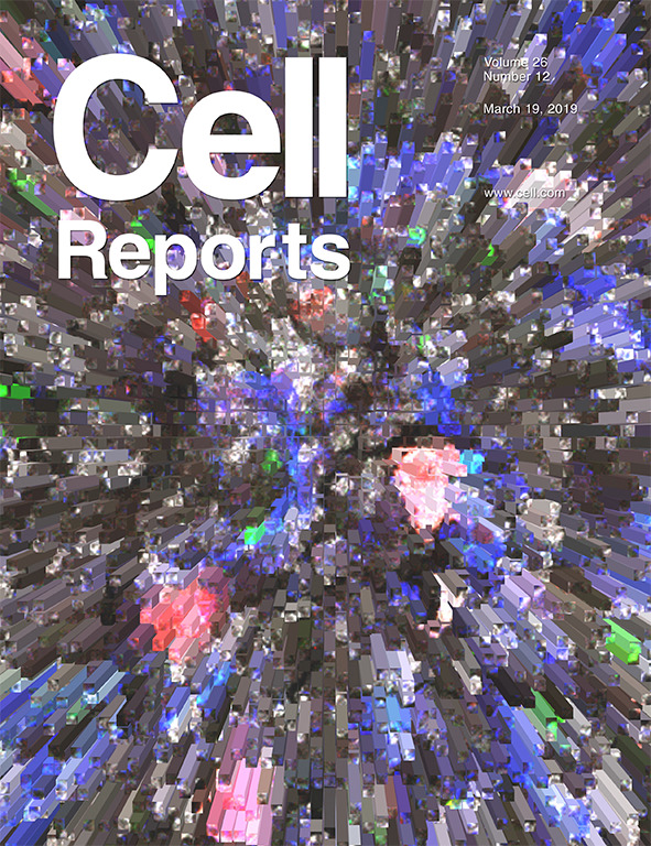 Cover of Cell Reports, featuring study using the protocol.