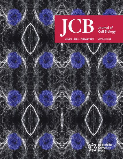 Cover of The Journal of Cell Biology, featuring study using the protocol.