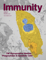 Cover of Immunity, featuring study using the protocol.