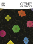Cover of Gene Reports, featuring study using the protocol.