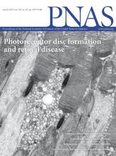Cover of Proceedings of the National Academy of Sciences of the United States of America, featuring study using the protocol.