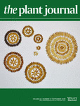 Cover of The Plant Journal, featuring study using the protocol.