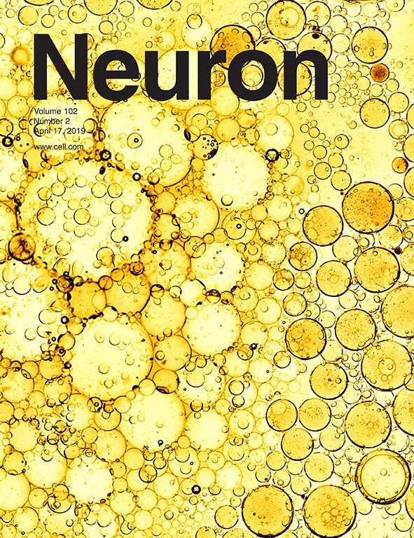 Cover of Neuron, featuring study using the protocol.