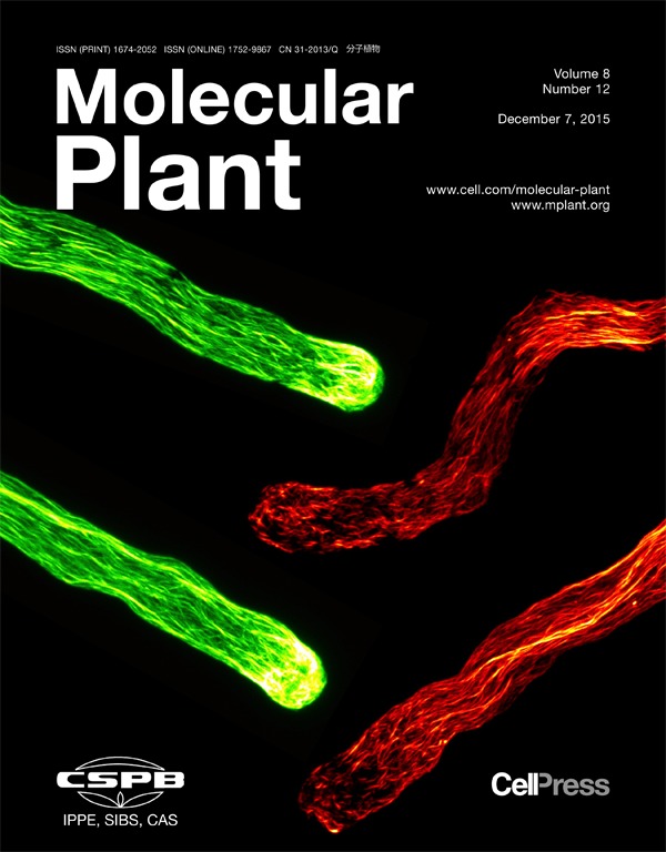Cover of Molecular Plant, featuring study using the protocol.