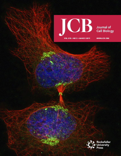 Cover of The Journal of Cell Biology, featuring study using the protocol.