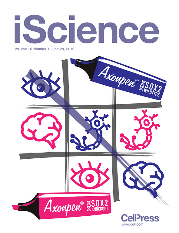 Cover of iScience, featuring study using the protocol.