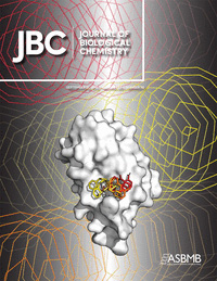 Cover of The Journal of Biological Chemistry, featuring study using the protocol.